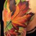 Tattoos - Autumn Leaves - 72714